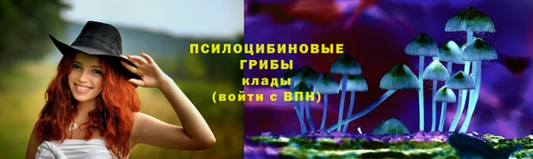 mdpv Нижний Тагил