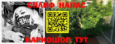 ешки Бердск