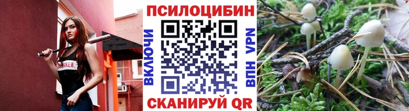 нарко площадка как зайти  цена   mega ССЫЛКА  Нижнеудинск  Псилоцибиновые грибы MAGIC MUSHROOMS 