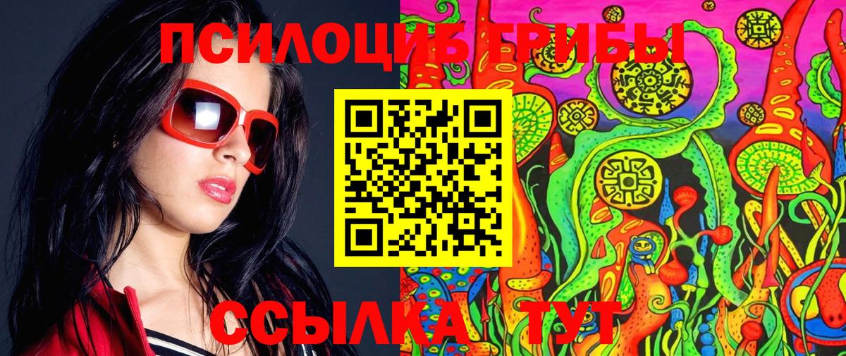 Псилоцибиновые грибы Psilocybine cubensis  Вход с VPN  Нижнеудинск  Галлюциногенные грибы GOLDEN TEACHER 